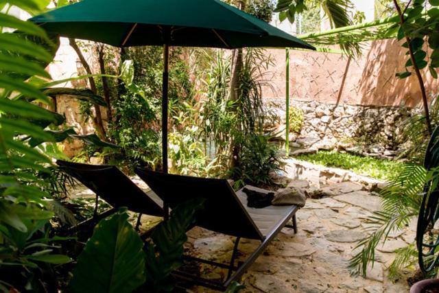 La Selva By Majikal B&B Mérida Extérieur photo