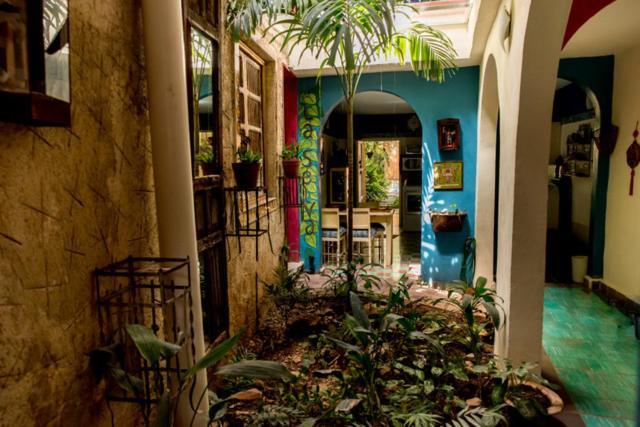 La Selva By Majikal B&B Mérida Extérieur photo