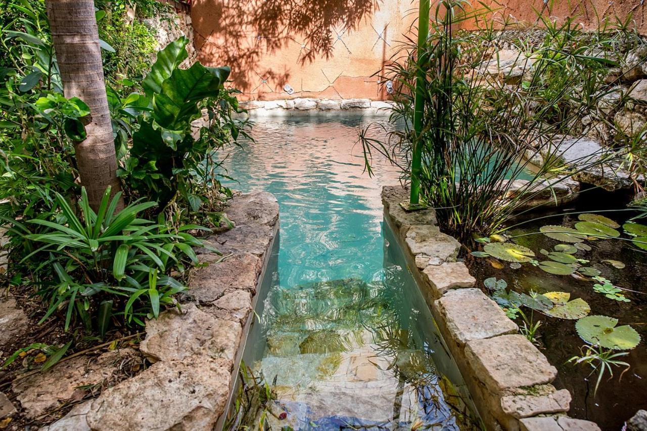 La Selva By Majikal B&B Mérida Extérieur photo