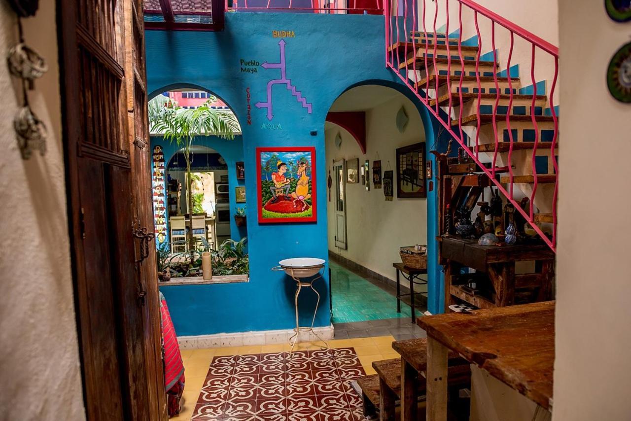 La Selva By Majikal B&B Mérida Extérieur photo