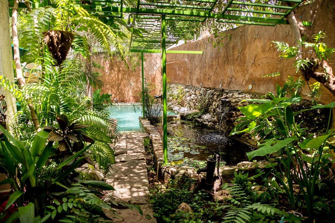 La Selva By Majikal B&B Mérida Extérieur photo